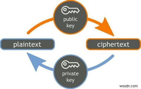 Duyệt web thực sự riêng tư:Hướng dẫn sử dụng không chính thức cho Tor 