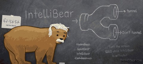 Lọc các đường hầm VPN của bạn với Tunnelbears Intellibear 