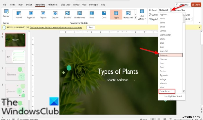 Cách thêm Hiệu ứng âm thanh vào Chuyển tiếp trong PowerPoint