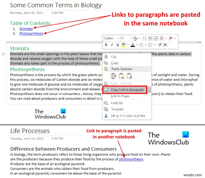 Cách tạo liên kết trong OneNote 