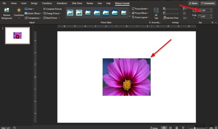 Cách thay đổi Hình ảnh mà không làm mất kích thước và vị trí trong PowerPoint 
