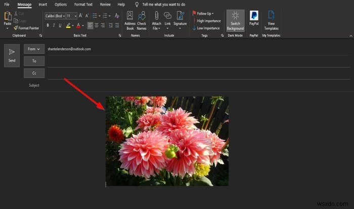 Cách chèn Hình ảnh và Hình dạng trong nội dung email Outlook 