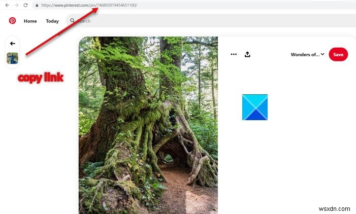 Cách nhúng Ghim Pinterest vào OneNote hoặc Word 