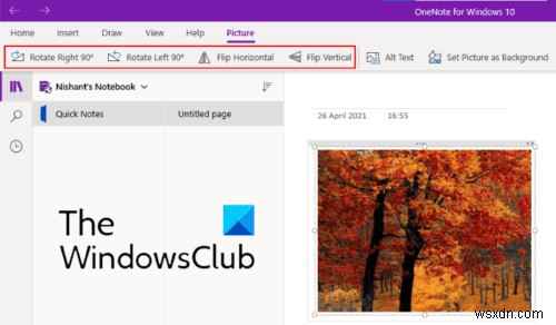 Cách xoay và cắt ảnh trong Microsoft OneNote 