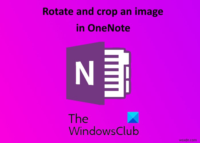 Cách xoay và cắt ảnh trong Microsoft OneNote 