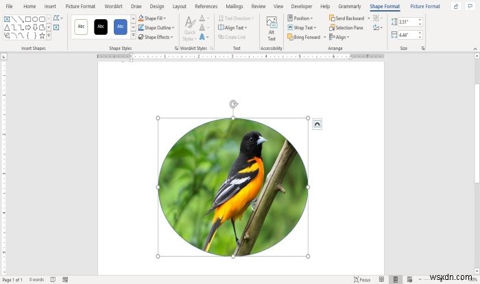 Cách chèn Hình ảnh vào Hình dạng trong Microsoft Word 