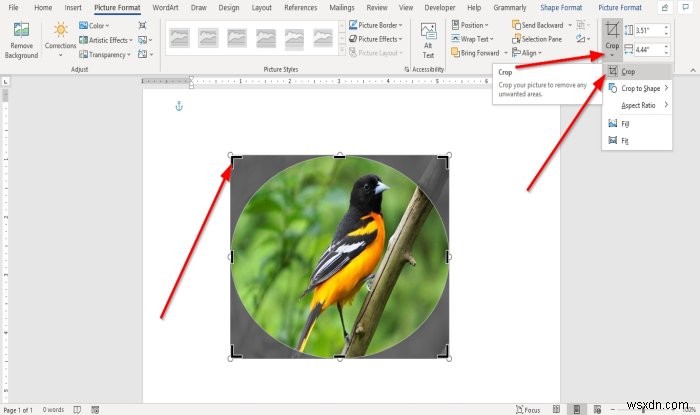 Cách chèn Hình ảnh vào Hình dạng trong Microsoft Word 
