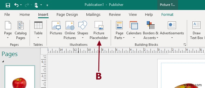 Thêm, di chuyển và sửa đổi hình ảnh hoặc hình ảnh trong Microsoft Publisher 