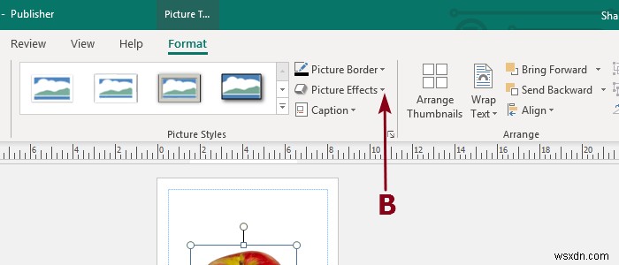 Thêm, di chuyển và sửa đổi hình ảnh hoặc hình ảnh trong Microsoft Publisher 