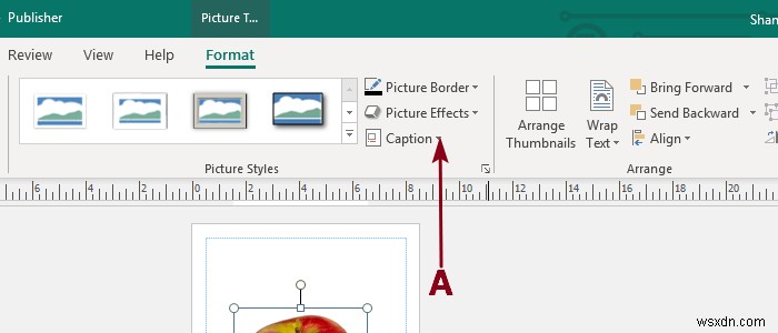 Thêm, di chuyển và sửa đổi hình ảnh hoặc hình ảnh trong Microsoft Publisher 