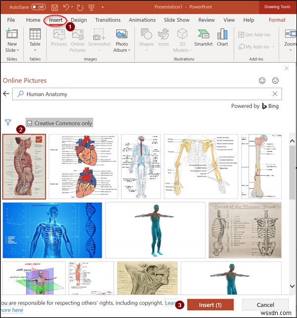 Cách tạo hiệu ứng hoạt hình Zoom trong slide PowerPoint 