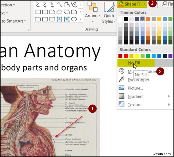 Cách tạo hiệu ứng hoạt hình Zoom trong slide PowerPoint 