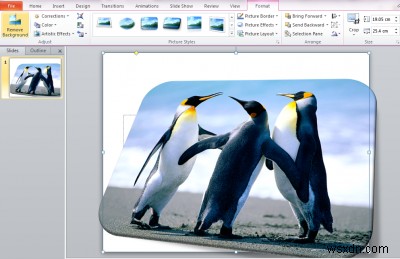 Cách xóa nền của hình ảnh bằng Microsoft PowerPoint 