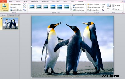 Cách xóa nền của hình ảnh bằng Microsoft PowerPoint 