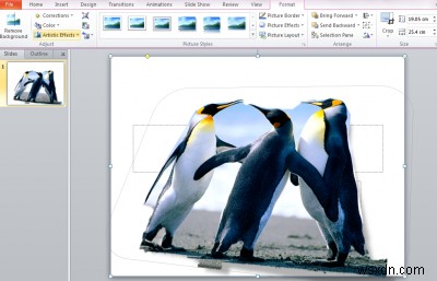 Cách xóa nền của hình ảnh bằng Microsoft PowerPoint 