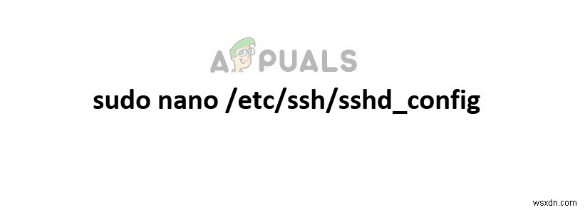 Đã sửa:sudo:không có tty hiện tại và không có chương trình hỏi đáp nào được chỉ định 