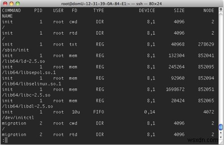 Cách lấy danh sách các tệp, ổ cắm và đường ống đang mở trong Linux 