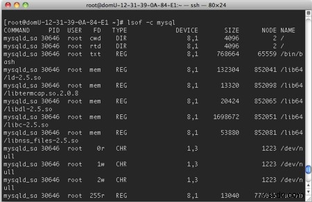 Cách lấy danh sách các tệp, ổ cắm và đường ống đang mở trong Linux 