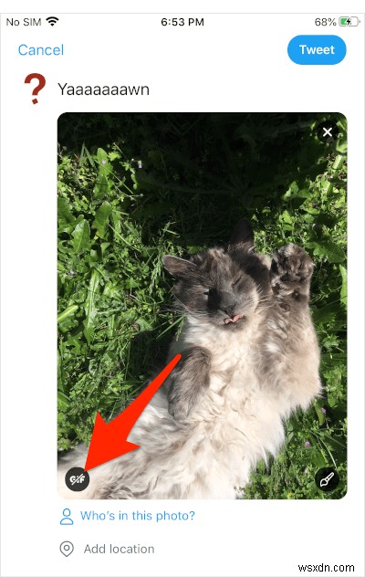 Cách đăng ảnh động trên iOS dưới dạng ảnh động GIF trên Twitter 