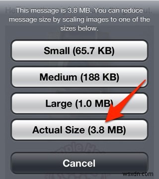 Cách gửi ảnh qua email từ iPhone hoặc iPad của bạn 