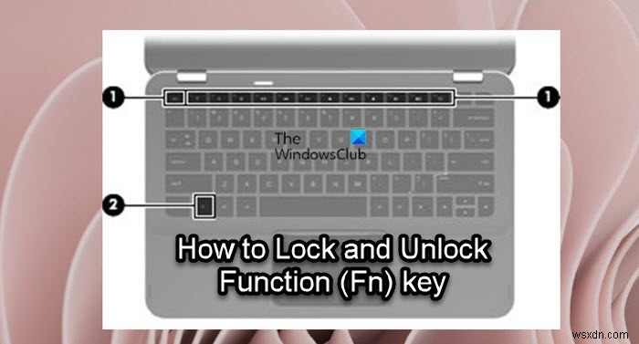 Cách khóa và mở khóa phím chức năng (Fn) trong Windows 11/10 