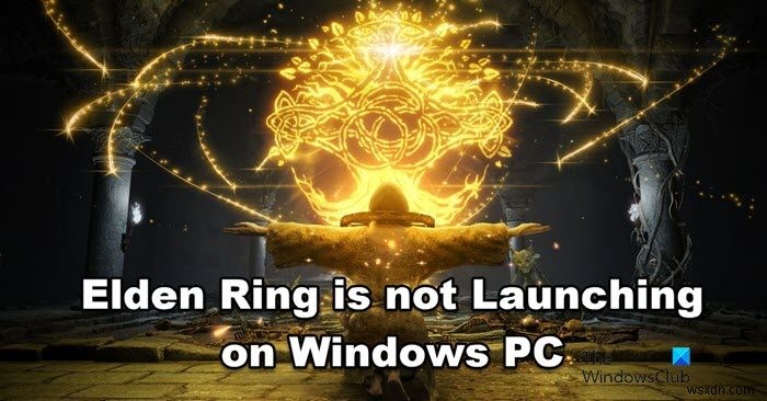 Elden Ring không khởi chạy trên Windows PC 