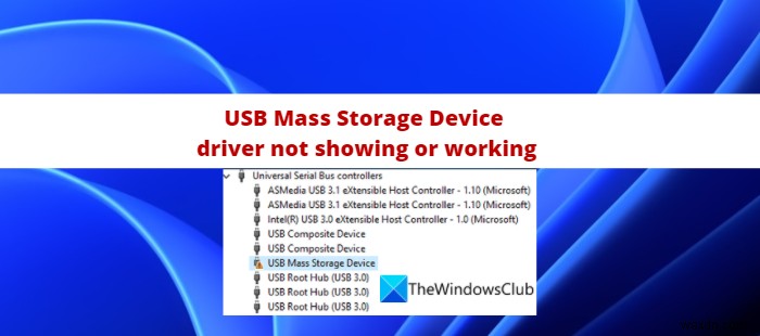 Trình điều khiển thiết bị lưu trữ USB không hiển thị hoặc không hoạt động 