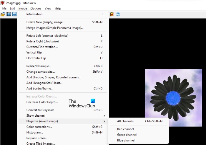 Cách đảo ngược màu của hình ảnh trên PC Windows 