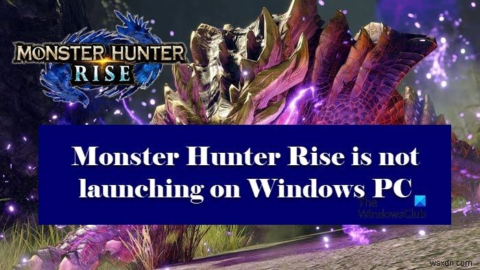 Monster Hunter Rise không khởi chạy hoặc gặp sự cố khi khởi chạy trên PC Windows 