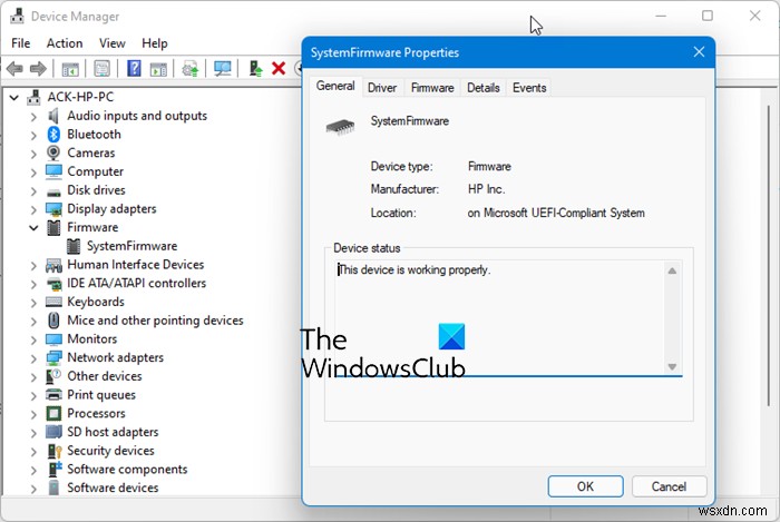 Sửa lỗi cập nhật chương trình cơ sở không thành công trong Windows 11/10