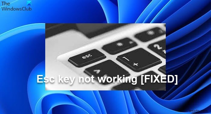Phím Esc không hoạt động trong Windows 11/10 