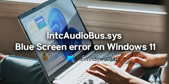 Sửa lỗi IntcAudioBus.sys Blue Screen trên Windows 11 