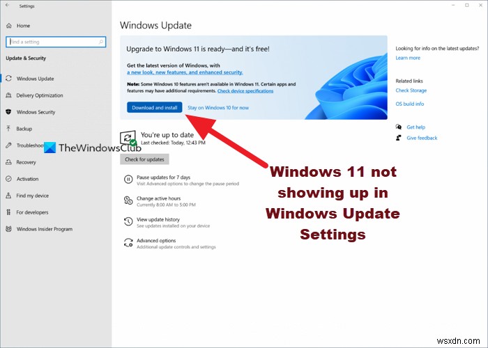 Windows 11 không hiển thị trong Cài đặt Windows Update 