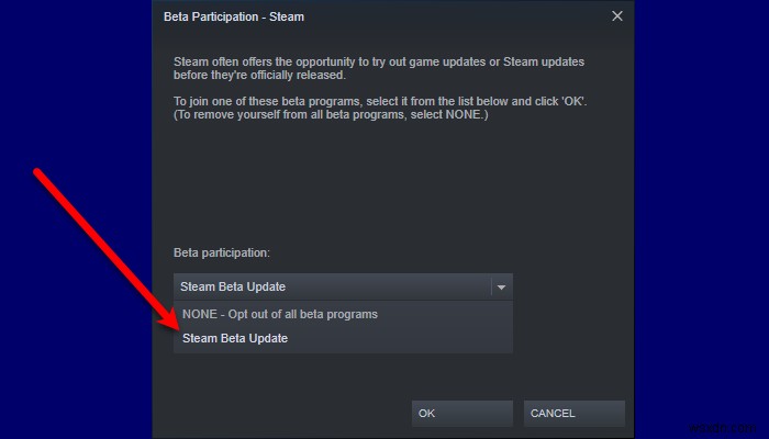 Steam Remote Play không hoạt động trên Windows 11/10 