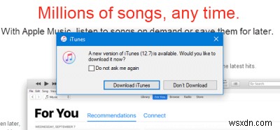 Thiết bị iOS không hiển thị trong iTunes dành cho Windows 11/10 
