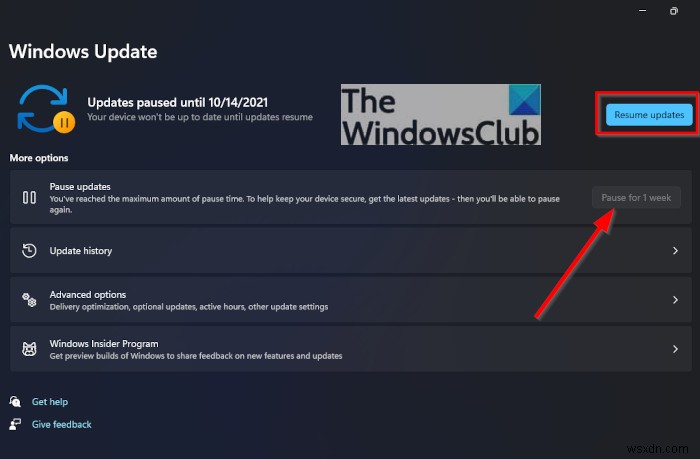 Cách cập nhật Windows 11 theo cách thủ công 