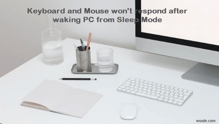 Bàn phím và chuột sẽ không phản hồi sau khi đánh thức Máy tính từ Chế độ ngủ 