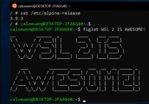 Cách cài đặt Windows Subsystem for Linux 2 trên Windows 11/10 