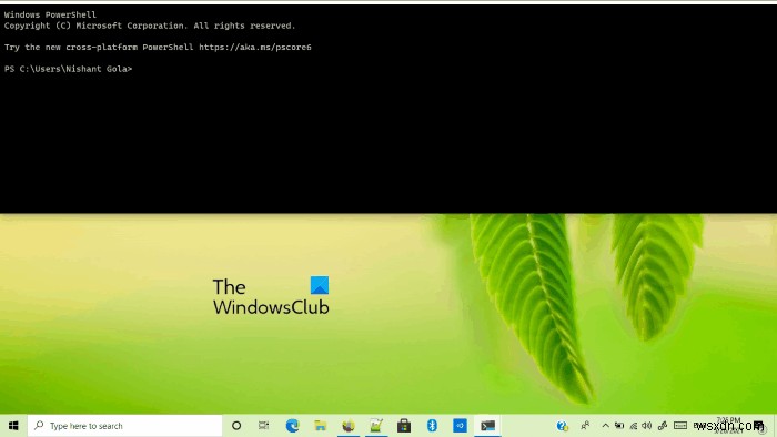 Mẹo và Thủ thuật Windows Terminal để giúp bạn làm việc như một người chuyên nghiệp 