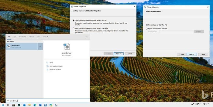 Cách sao lưu Trình điều khiển Máy in và Hàng đợi bằng Công cụ Di chuyển Máy in trong Windows 10 