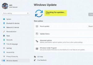 Kiểm tra các bản cập nhật có vĩnh viễn trong Windows 11/10 