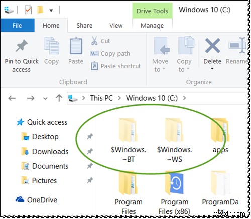 Tôi có thể xóa thư mục $ Windows. ~ BT &$ Windows. ~ WS sau khi nâng cấp Windows 10 không? 