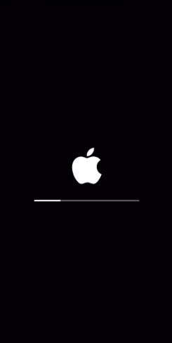 [Đã giải quyết] iPhone X, 11, 12,13 bị mắc kẹt trong Vòng lặp khởi động trong iOS 15/14/13 