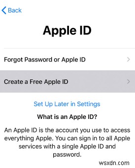 Khắc phục iPhone bị kẹt khi thiết lập Apple ID [Giải pháp đã được chứng minh] 
