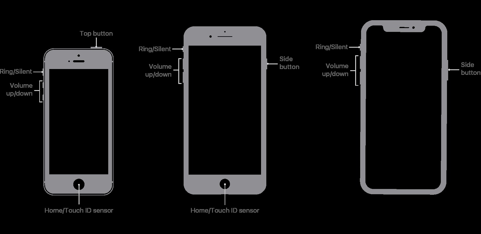 Hướng dẫn cho người mới bắt đầu để chụp ảnh màn hình trên iPhone và iPad 