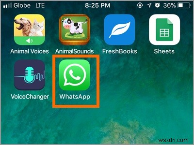 Cách gửi vị trí trên WhatsApp [Android và iOS] 
