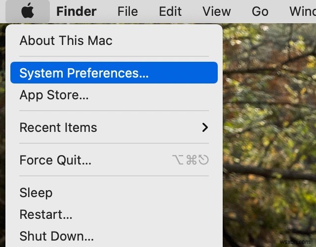 Cách khởi chạy thiết bị đầu cuối ở vị trí thư mục hiện tại trên máy Mac 