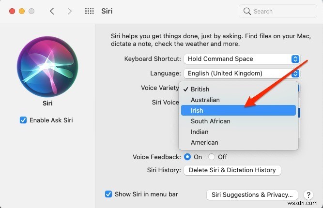 Cách thay đổi giọng nói và ngôn ngữ Siri trên Mac và iPhone 