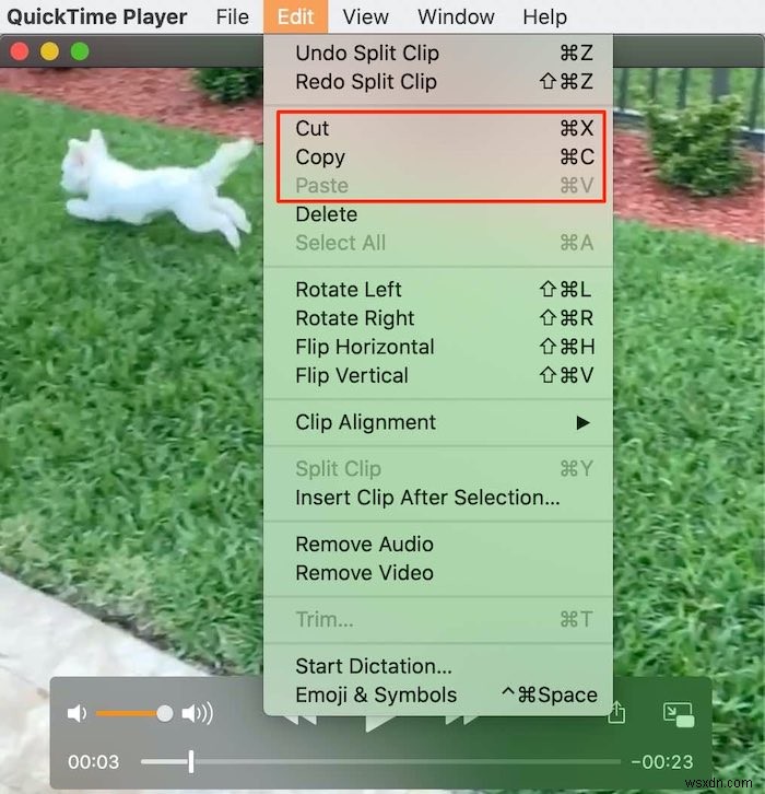 Cách chỉnh sửa phim bằng QuickTime trên Mac 
