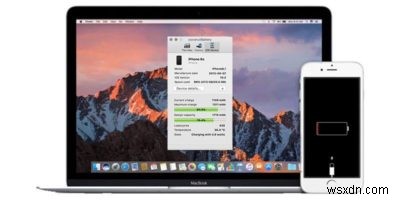 Cách chạy chẩn đoán pin iPhone trên máy Mac 